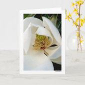 Magnolia Swirl Karte (Gelbe Blume)