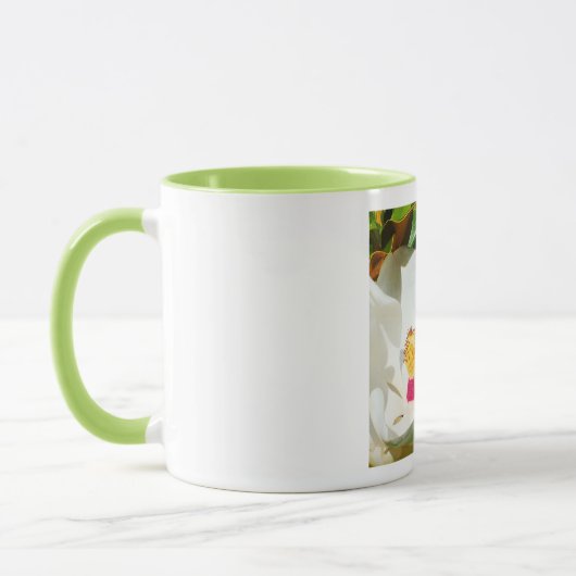Magnolia Tasse (Links)