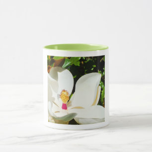 Magnolia Tasse