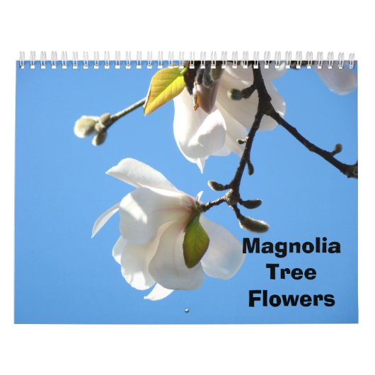 Magnolia Tree Blume Fotografie Kalender (Titelbild)