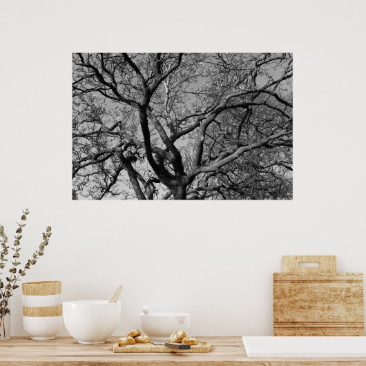 Magnolia Tree Branches Poster (Küche)