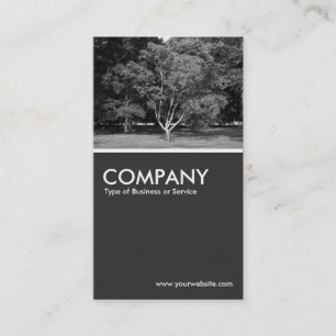 Magnolia Tree BW - 80pc Gray Visitenkarte