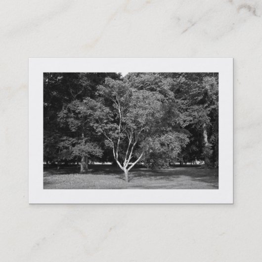 Magnolia Tree BW (Grenze) Visitenkarte (Vorderseite)