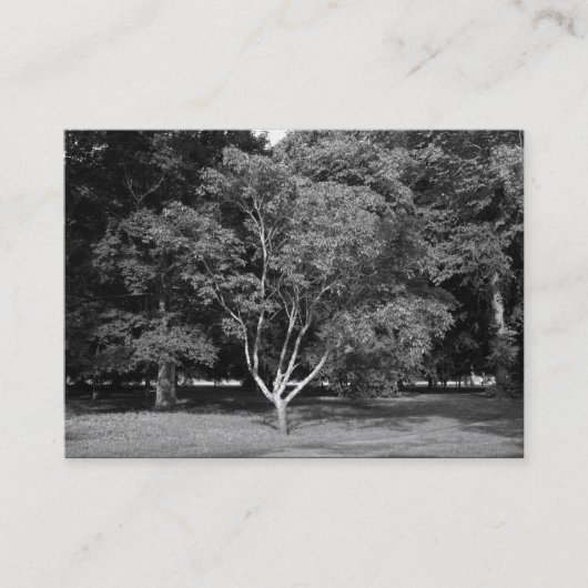 Magnolia Tree BW Visitenkarte (Vorderseite)