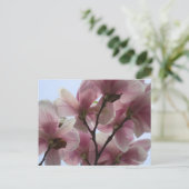 Magnolia Tree im Bloom Postcard Postkarte (Stehend Vorderseite)