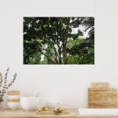 Magnolia Tree im Sommer Poster (Küche)