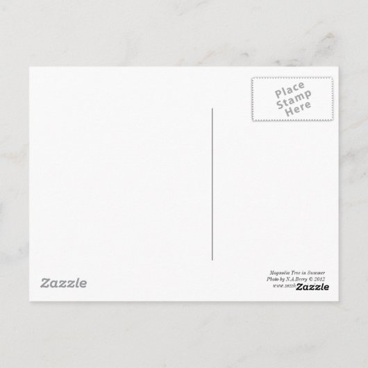 Magnolia Tree im Sommer Postkarte (Rückseite)