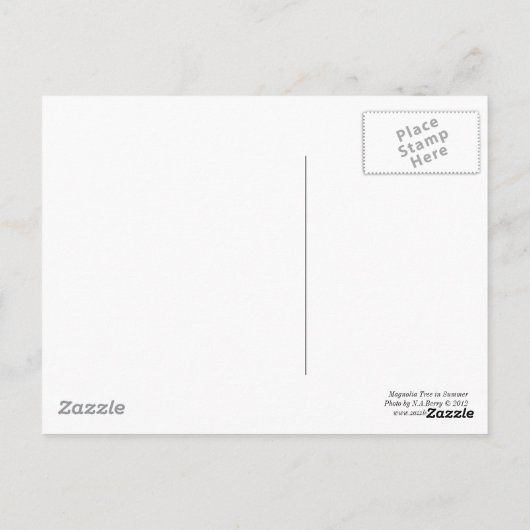 Magnolia Tree im Sommer Postkarte (Rückseite)