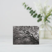 Magnolia Tree in Blossom 01 Visitenkarte (Stehend Vorderseite)