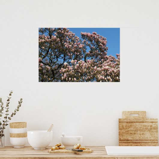 Magnolia Tree in Blossom Poster (Küche)