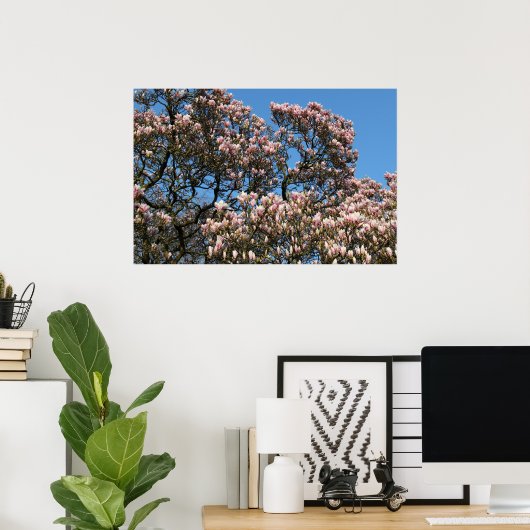 Magnolia Tree in Blossom Poster (Heimbüro)