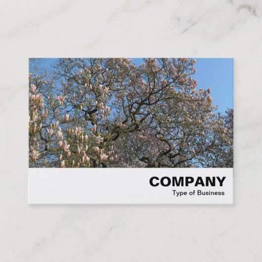 Magnolia Tree in Blossom Visitenkarte (Vorderseite)