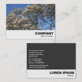 Magnolia Tree in Blossom Visitenkarte (Vorne/Hinten)