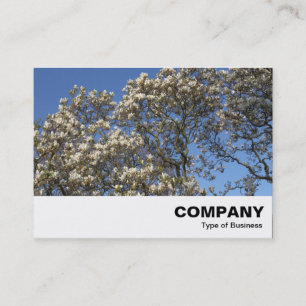 Magnolia Tree in Blossom Visitenkarte