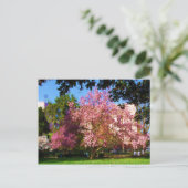 Magnolia Tree Postcard Postkarte (Stehend Vorderseite)