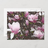 Magnolia Tree Postcard Postkarte (Vorne/Hinten)