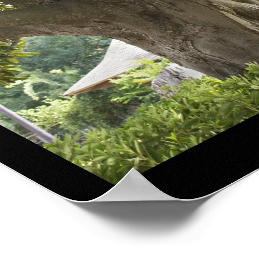 Magnolia Tree Poster (Ecke)