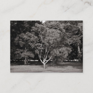 Magnolia Tree - Warm BW Visitenkarte