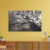 Magnolia Trees in Blossom 01 Leinwanddruck (Insitu (Wohnzimmer))