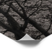 Magnolia Trees in Blossom 01 Poster (Ecke)