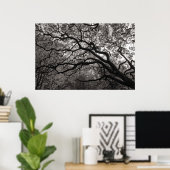 Magnolia Trees in Blossom 01 Poster (Heimbüro)