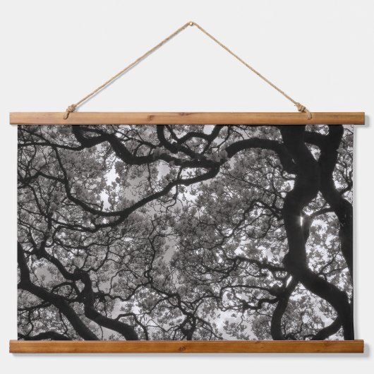 Magnolia Trees in Blossom 02 Wandteppich Mit Holzrahmen (Vorne)