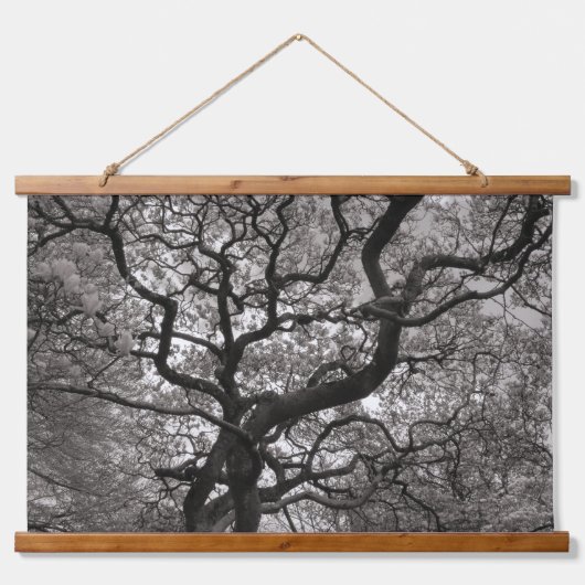 Magnolia Trees in Blossom 03 Wandteppich Mit Holzrahmen (Vorne)