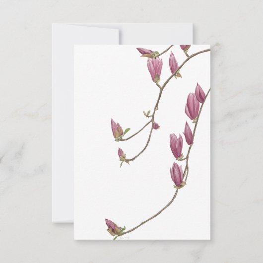 Magnolia Vine Danke Karte (Rückseite)