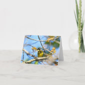 Magnolia Warbler - Blank Note Card Dankeskarte (Vorderseite)