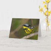 Magnolia Warbler Karte (Gelbe Blume)