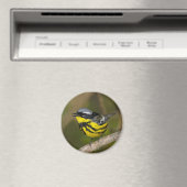 Magnolia Warbler Magnet (In Situ (Geschirrspüler))