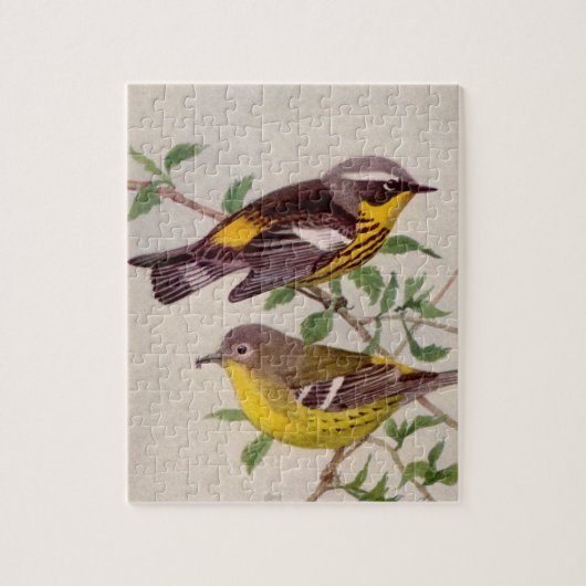 Magnolia Warbler Malerei von Louis Agassiz Fuentes Puzzle (Vertikal)
