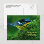 Magnolia Warbler Post Card Postkarte (Vorne/Hinten)
