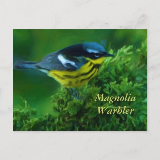 Magnolia Warbler Post Card Postkarte (Vorderseite)
