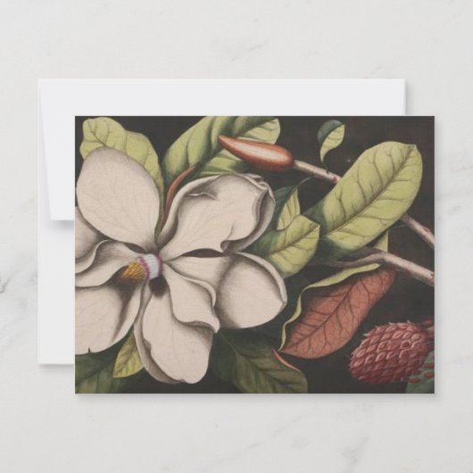 Magnolia Wedding RSVP (Rückseite)