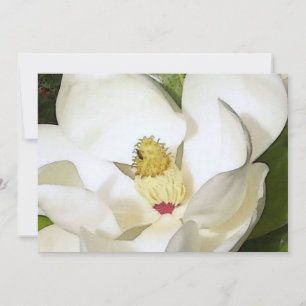 Magnolia Weiße Einladung, Blumenladen Einladung