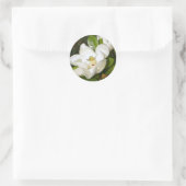 Magnolia White Runder Aufkleber (Tasche)