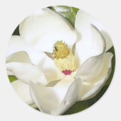 Magnolia White Runder Aufkleber (Vorderseite)