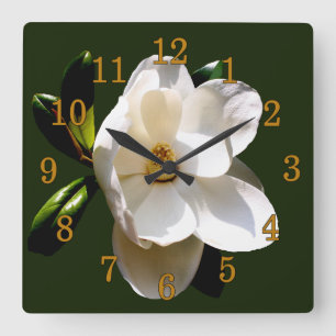 Magnolia with Gold Numerals Quadratische Wanduhr