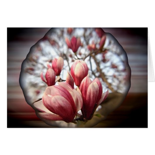 Magnolia Wood (Vorderseite (Horizontal))