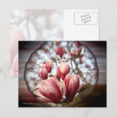 Magnolia Wood Postkarte (Vorne/Hinten)