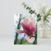 Magnolia Woods Postkarte (Stehend Vorderseite)