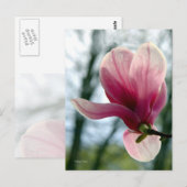 Magnolia Woods Postkarte (Vorne/Hinten)