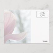 Magnolia Woods Postkarte (Rückseite)