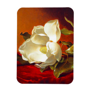 Magnolia zu Red Velvet Martin Johnson Heade Magnet