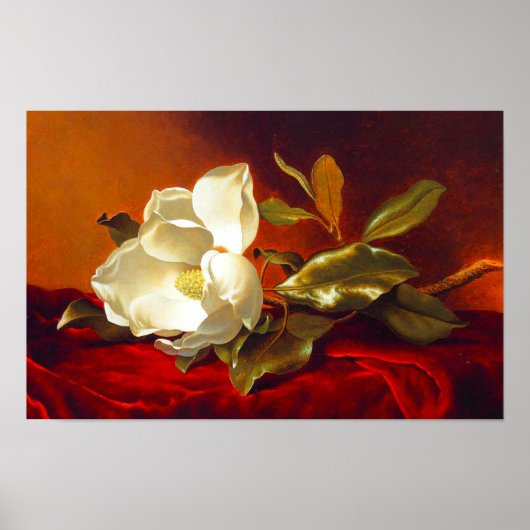 Magnolia zu Red Velvet Martin Johnson Heade Poster (Vorne)