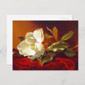 Magnolia zu Red Velvet Martin Johnson Heade Postkarte (Vorne/Hinten)