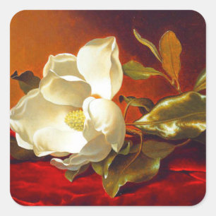 Magnolia zu Red Velvet Martin Johnson Heade Quadratischer Aufkleber