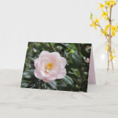 Magnoliaeflora Blume Locarno Karte (Gelbe Blume)