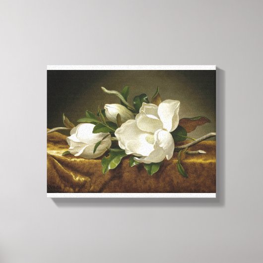 Magnolias auf Gold Velvet Cloth von Martin Johnson Leinwanddruck (Vorderseite)
